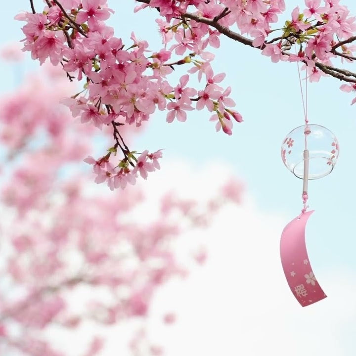 Pink cherry blossom branches against a soft blue sky, with a small pink hanging ornament and a clear round wind chime.